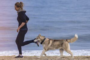 Dogs And Exercise